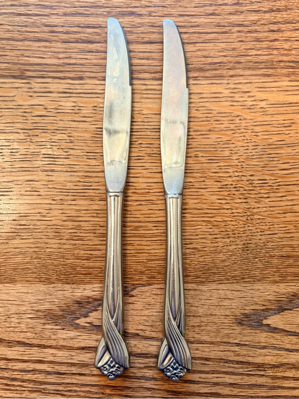 Oneida Katrina Stainless Steel Dinner Knives - Set of 2